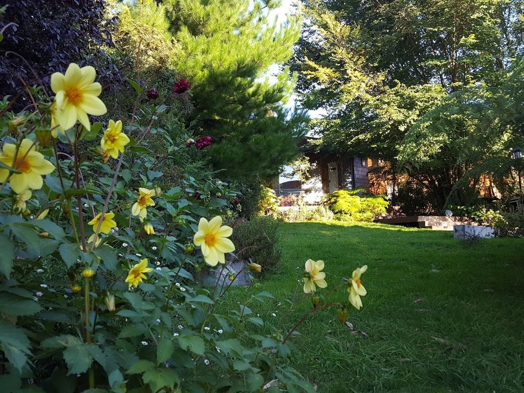 Canales Del Sur B&B & Spa Puerto Varas Exterior photo